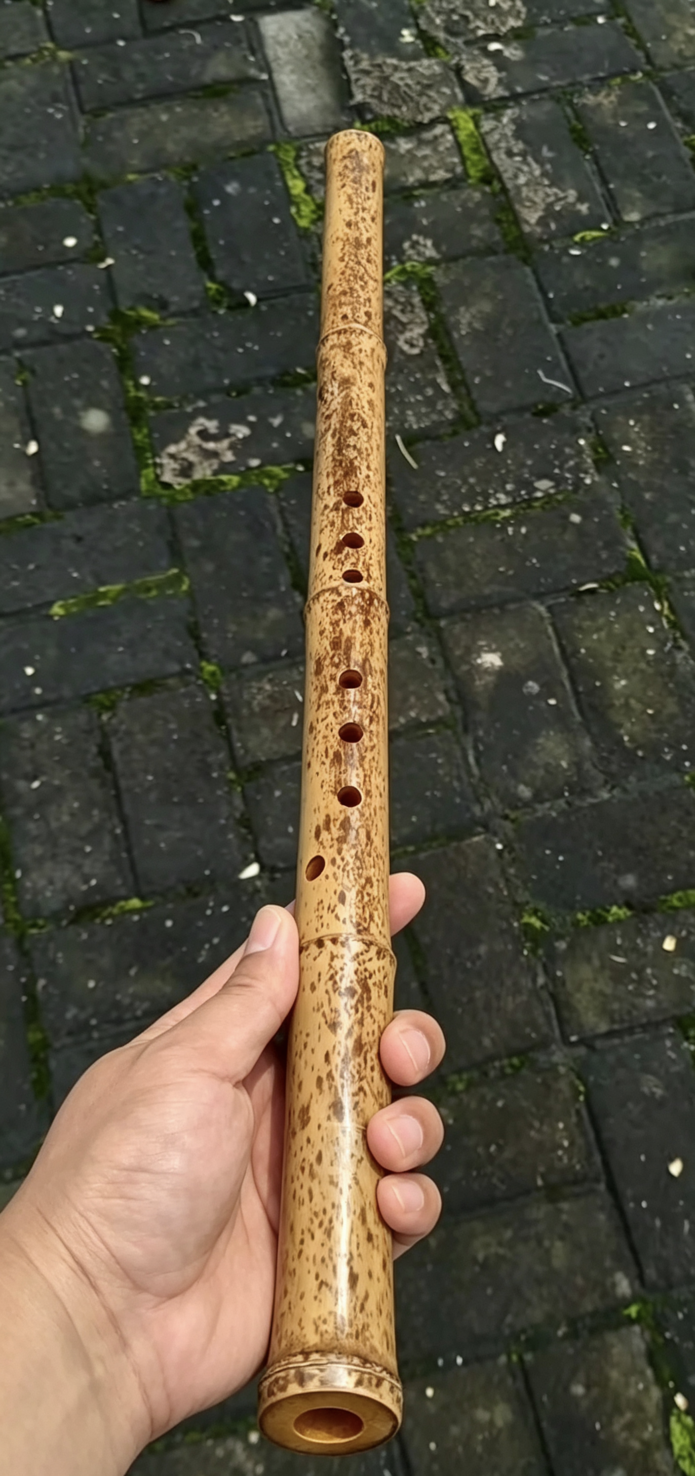 梅箓斑竹洞箫